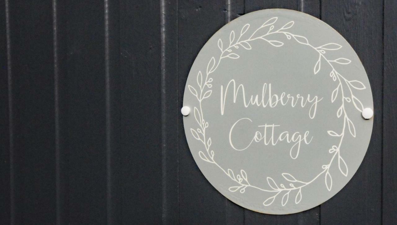 Mulberry Cheltenham